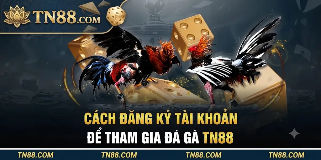 Cách Đăng Ký Tài Khoản Để Tham Gia Đá Gà 78Win
